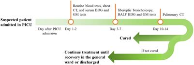 Clinical, Laboratory, Radiological, Bronchoscopic, and Outcome Characteristics of Pulmonary Fungal Infection in Children in PICU in Central China: A Case Series